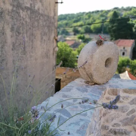 Teza Hvar Βίλα